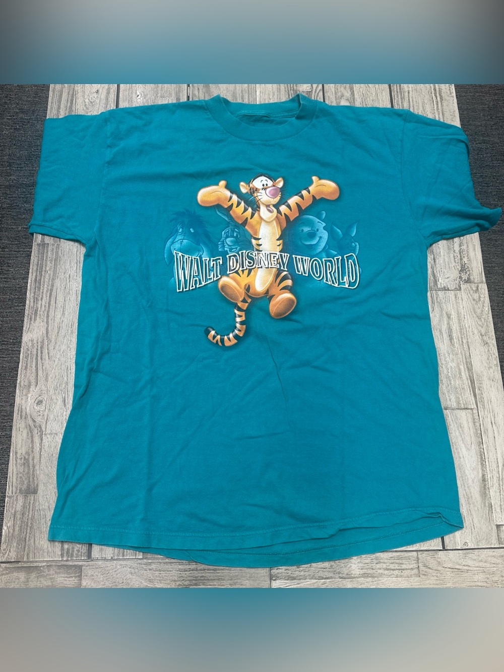 VTG 90s Tiger Walt Disney World Friends Graphic Tee No Size Tag USA Teal